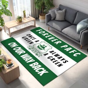 Alternative view of Plymouth Argyle FC Championship 13 Teppich